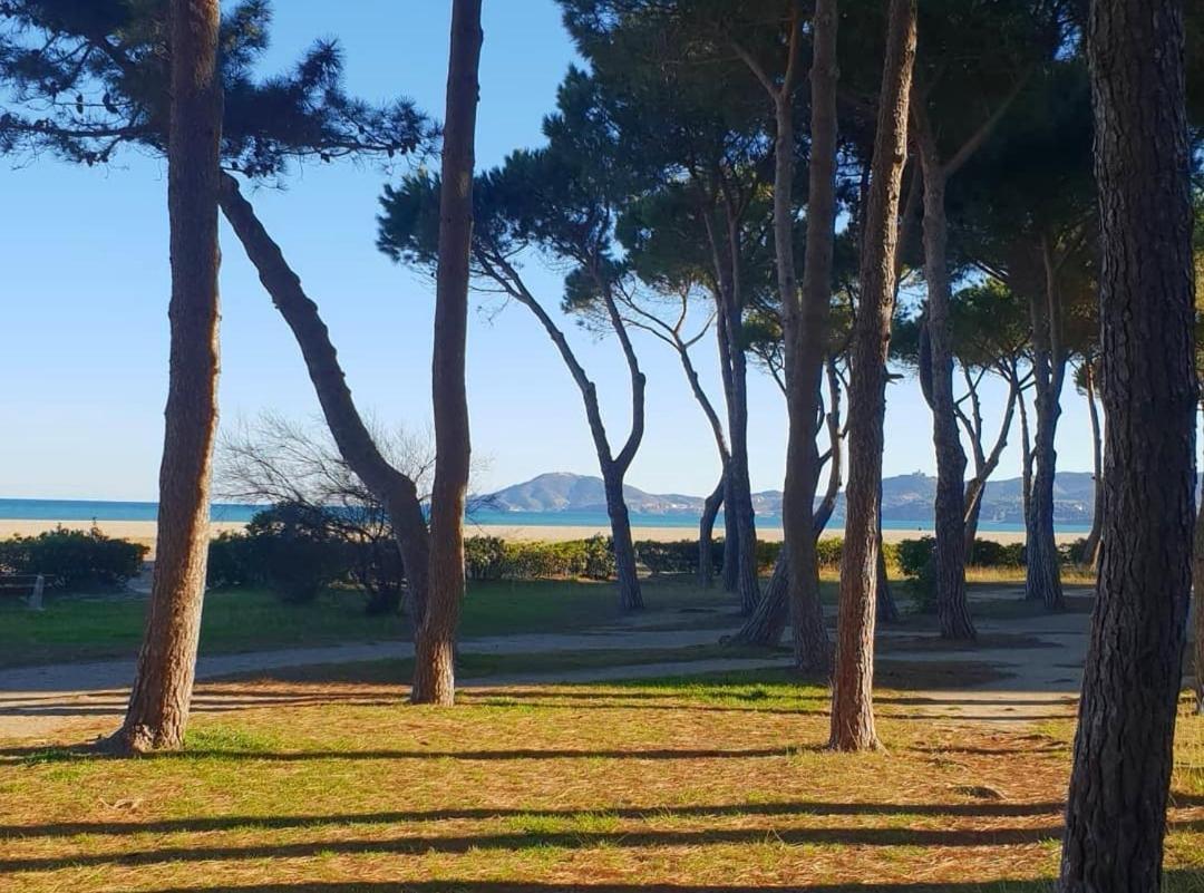 Les Lavandines -Coquette Maison De Vacances - 400 M De La Plage - Grande Terrasse - 2 Chambres - 2 Salles De Bain - Tout Confort Argelès-sur-Mer Kültér fotó